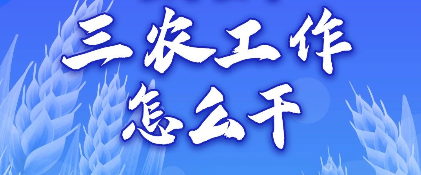 一圖讀懂丨2024年三農(nóng)工作怎么干？