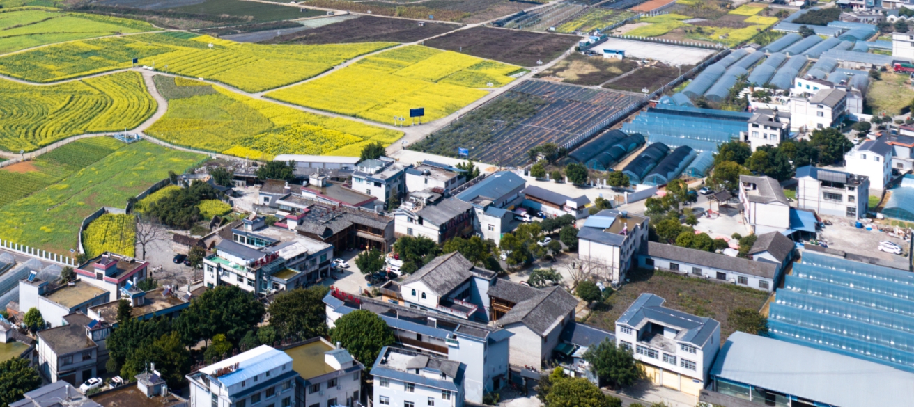 自然資源部發(fā)布《平急功能復合的韌性城市規(guī)劃與土地政策指引》：強調(diào)推進監(jiān)測網(wǎng)絡建設、耕地保護等