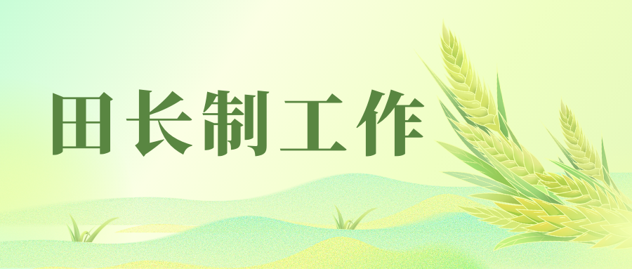 廣東省2024年第1號總田長令簽發(fā)——頒布實施《廣東省田長制工作規(guī)則》等三項配套制度