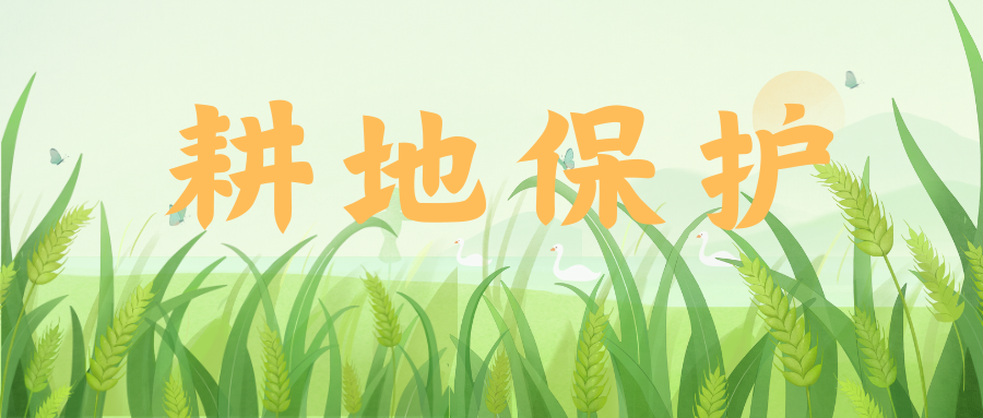 以“長牙齒”的硬措施保護(hù)耕地！最高檢、自然資源部聯(lián)合發(fā)布典型案例