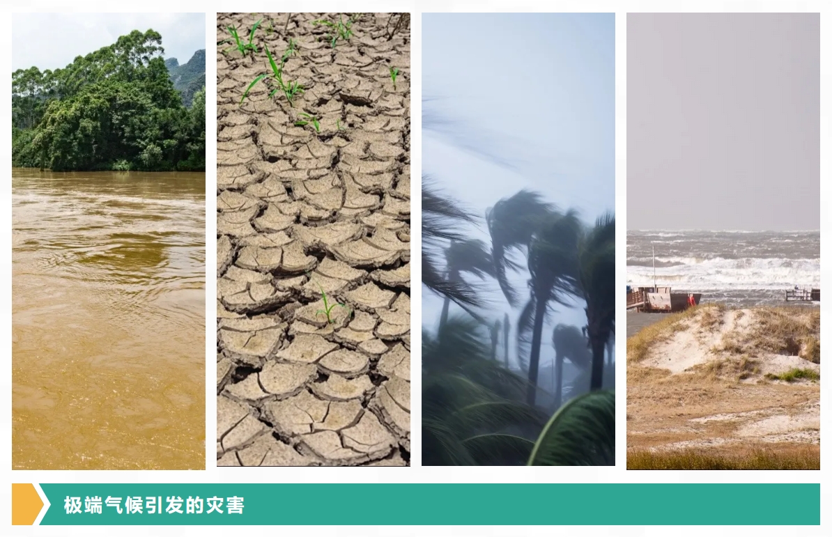 碳匯1.png