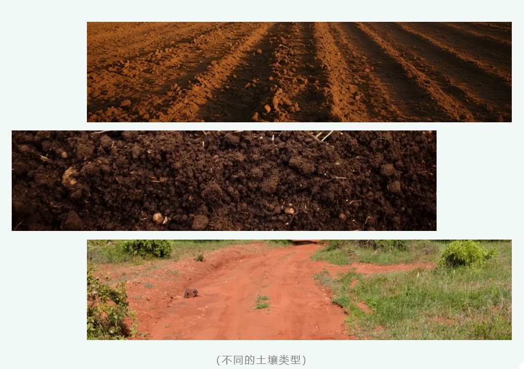 碳匯3.png